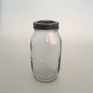 DIY Bean Sprouts Transparent set of 26oz sprouting glass mason jar with Stainless Steel metal lids and iron stand