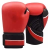 DX leather boxing gloves