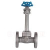 DZ41Y-16P  Stainless Steel CF8 CF3 CF8M CF3M Low Temperature Flange Manual Gate Valve