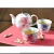 Import Eco-friendly floral ceramic flower language tea set cup with favorable price from Japan