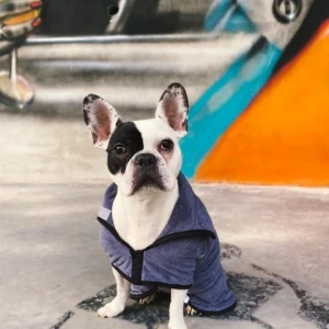EcoCotton Top Seller Terry Double Layer Cotton Dog Drying Coat