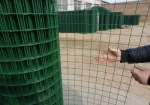 Electro Galvanized/PVC Coated Welded Iron Wire Mesh/Building Wire Mesh