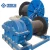 Import Electronic control hoist winch 1 ton 2 ton 3 ton 5 ton winch from China