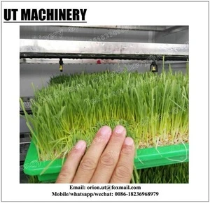 Energy Save Hydroponic Bean growing machine/Bean Product Processing Sprouting Machinery