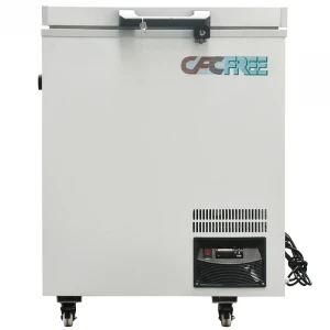 ETL Certification low temperature deep freezer/Hotel Compressor Refrigerator With Freezer