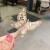 Import Europe and America Color Moving Butterfly Hairpin Women Shaking Pearl Clip Headdress from China