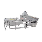 factory hot sale industrial fruit washing machine/bubble vegetable washer