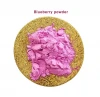 Factory outlet natural blueberry fruit powder