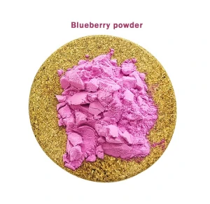 Factory outlet natural blueberry fruit powder