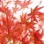 Import Fake Faux Red Maple Tree Plant Artificial Bonsai Maple Tree from China
