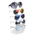 Import Fashion Design Acrylic Freestanding Eyewear Display from China