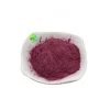 Food supplement dried red grapes fruit juice concentrate powder with halal