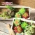 FREE SAMPLE Eco-friendly Mini Simulated Succulent Plants Unpotted Artificial Lotus Plants