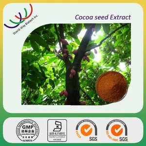 Free samples natural slimming medicine ingredient 20% theobromine 40% polyphenols cocoa extract powder