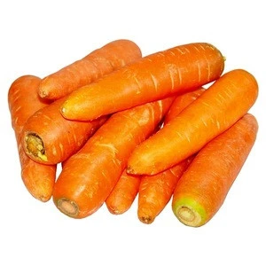 fresh carrot for sale