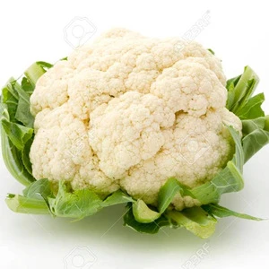 Fresh Cauliflower for Export