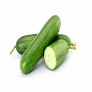 Fresh Clean  cucumber/ Green cucumber