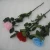 Import Fresh Cut Flowers Roses Long Lasting Big Rose Flower With Stem from China