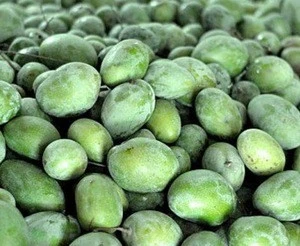 Fresh discount Pakistani Mangoes