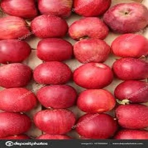 fresh fruit apple,2018  new crop good taste red apple