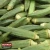 Import Fresh Okra ,Organic Fresh Okra for sale from Pakistan