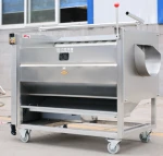 Fresh Radish, Carrot, Potato Washing, Peeling Machine For Sale