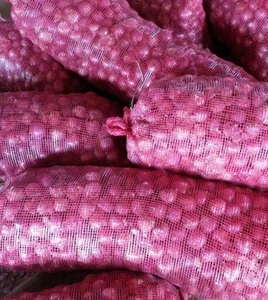 Fresh Red Onion Export Quality