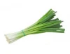 FRESH SCALLIONS / FRESH AND DRIED FOR SALE