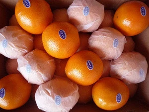 Fresh Style and Other Product Type Fresh Fruits valencia orange