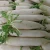 Import Fresh White Radish from South Africa