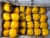 Import Fresh Yellow Capsicum from Vietnam