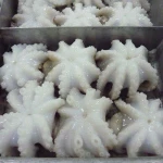 Frozen Octopus