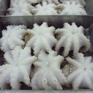 Frozen Octopus