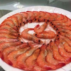 Frozen vannamei white shrimp HOSO Low Price