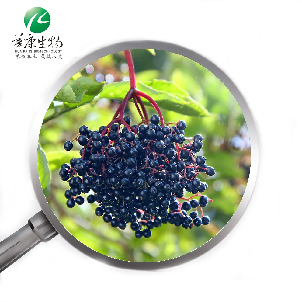 FSSC22000 factory supply Organic Elderberry extract 10-25% Anthocyanin 30% Polyphenols