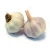 Import garlic  chips seed garlic dry garlic and onion flaks from China