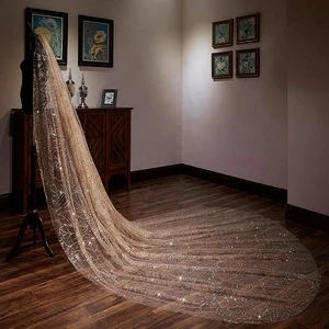 GENYA Romantic Champagne 4 Meters Wedding Veils Bridal Veil Wedding Accessories