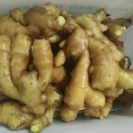 Global Sales Manufacturer Spot Chinese Bulk Fresh Ginger