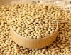 Grade A Non GMO dried cheap 5-8MM yellow soybean for sale