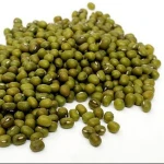 Green  mung beans /  Vigna Beans from Kazakhstan