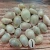 Import Grey Cowrie Natural Sea Shells Beach Decor Craft DIY Home Decoration Marine Style Fish Tank Conch Embellishment from China