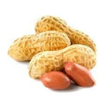 Halal Certificate China New Crop Blanched Peanuts Peeled Groundnuts 25/29 Size