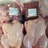 HALAL Frozen Whole Chicken / Frozen Halal Grade Whole chicken Meat , Chicken Wings , Chicken feet