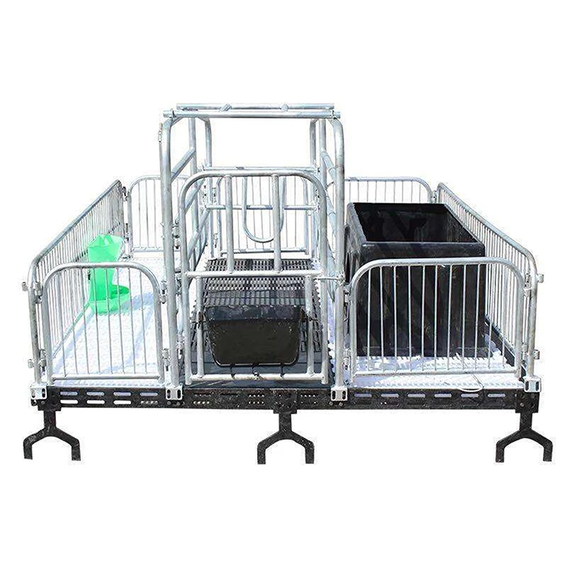 HDG pig farrowing crates with slat floor and feeder