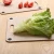 Import Healthy and clean flexible kitchen cutting board chopping mat from China