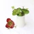 Import High Hand-Feeling Succulent Artificial Double Butterfly For Home Decoration From Factory Direct from China