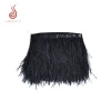 High quality black ostrich feather strung for Halloween decoration