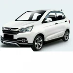 High quality electric car electric suv 4x4 electric mini suv car for adult driving for passenger SUV
