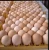 Import High Quality Fertile Hatching Chicken Egg/Fresh Chicken Table Eggs from United Kingdom