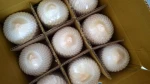 HIGH QUALITY FRESH COCONUT // SWEET WATER